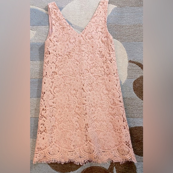 BB Dakota Lost in Lace Plunging V Sleeveless Mini Shift Dress - Picture 6 of 7